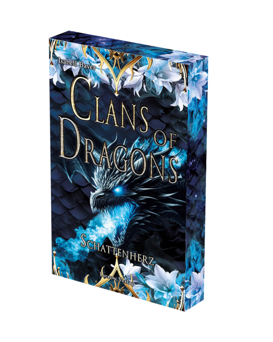Clans of Dragons - 2 - Schattenherz von Isabell Bayer