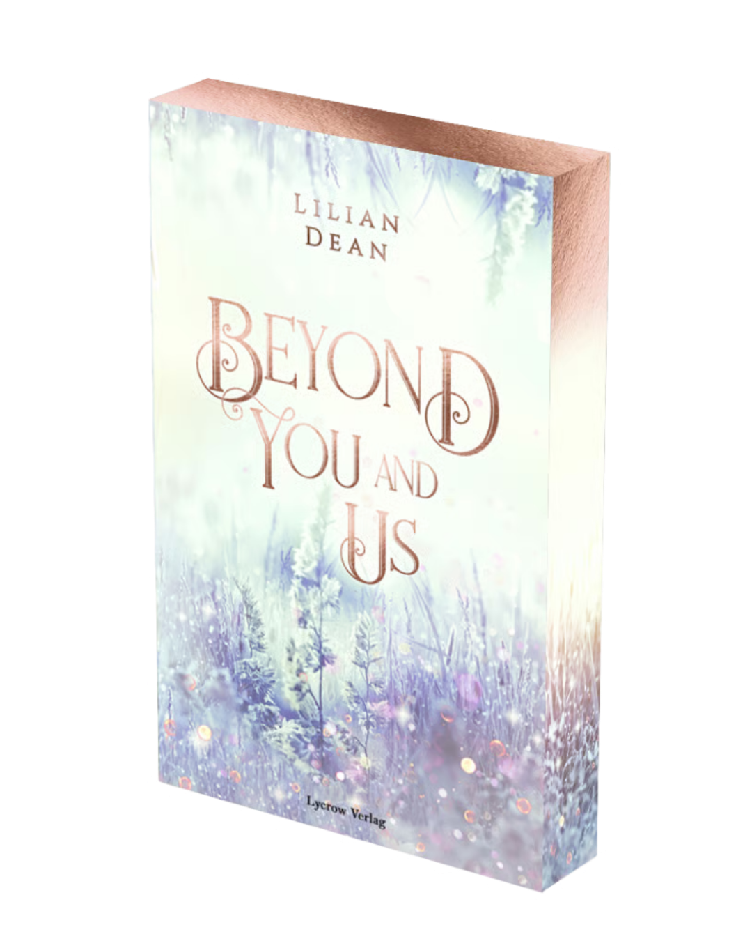 Beyond You and Us von Lilian Dean