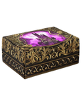 Buchbox zu Kiss of Thorns von Liz Rosen